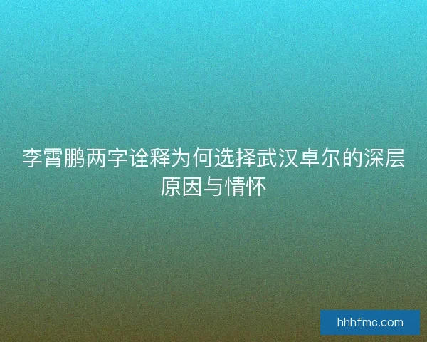李霄鹏两字诠释为何选择武汉卓尔的深层原因与情怀